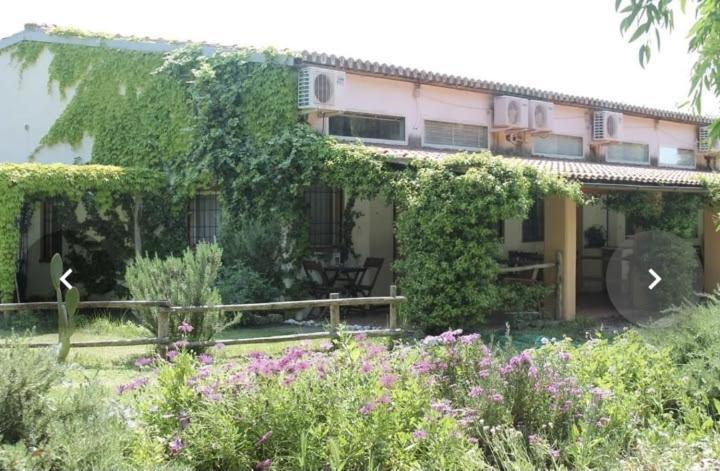Appartement Il Piccolo Borgo à Montalto di Castro Extérieur photo