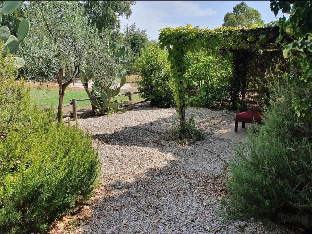 Appartement Il Piccolo Borgo à Montalto di Castro Extérieur photo